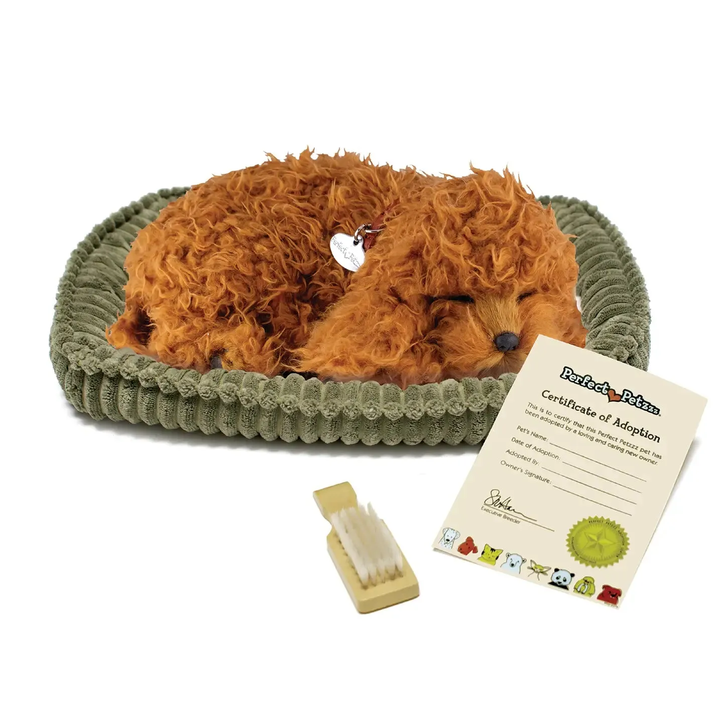 16Original - Toy Poodle