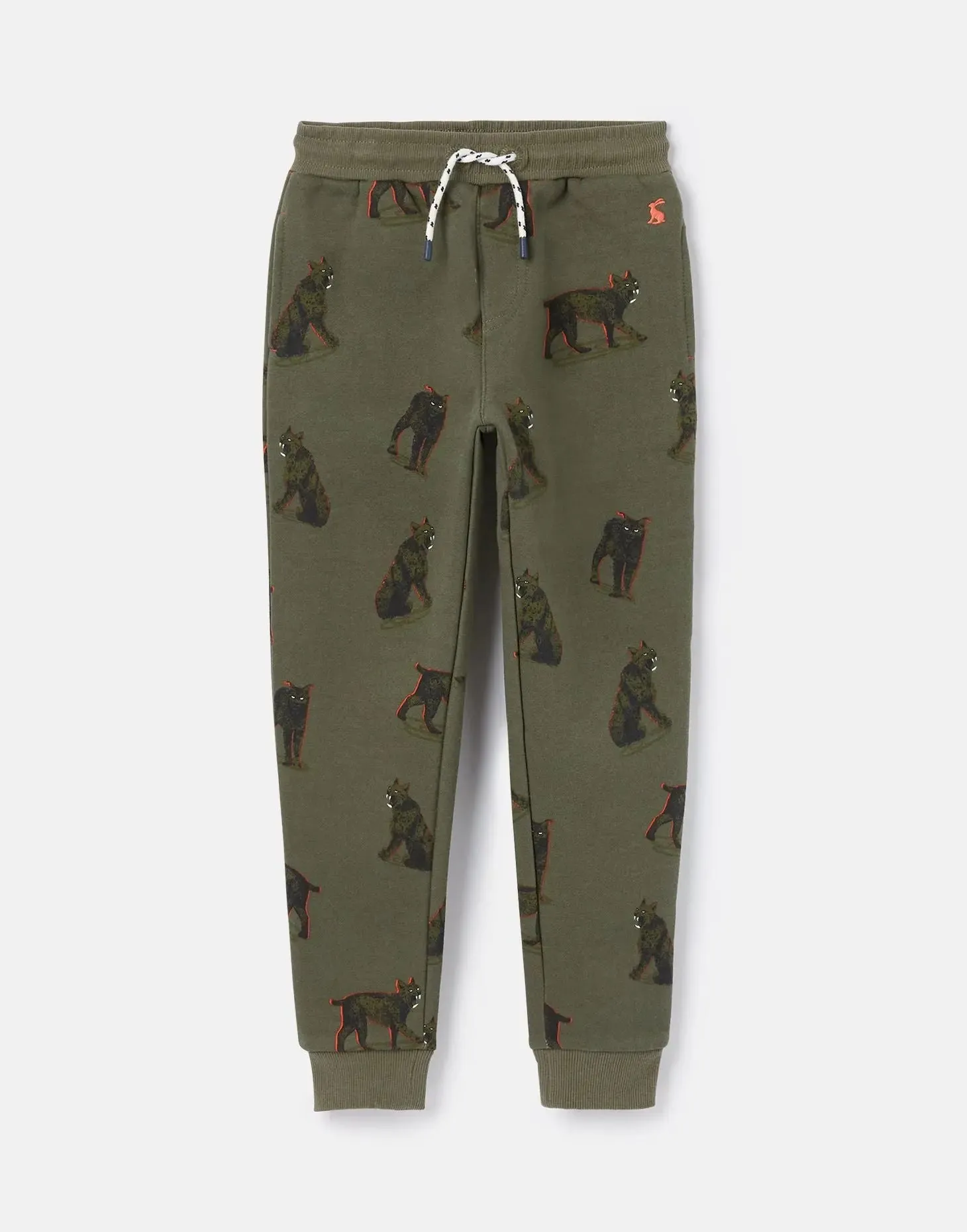 Boys' Champion Novelty Joggers | Joules