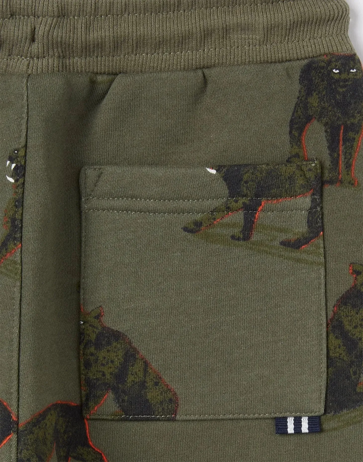 Boys' Champion Novelty Joggers | Joules