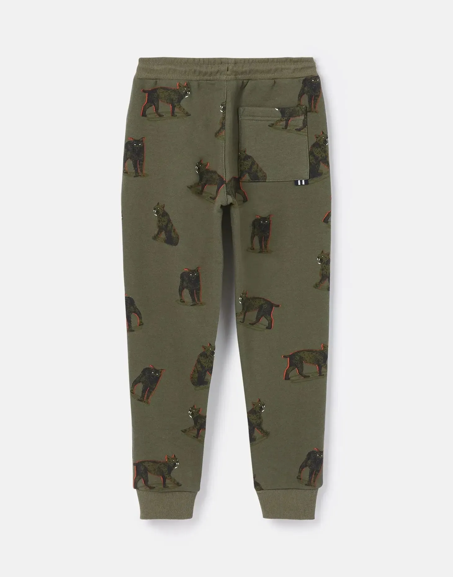 Boys' Champion Novelty Joggers | Joules