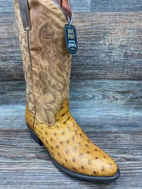 dp2323 Men's Saddle Brown R Toe Genuine Full Quill Exotic Western Boots by Dan Post