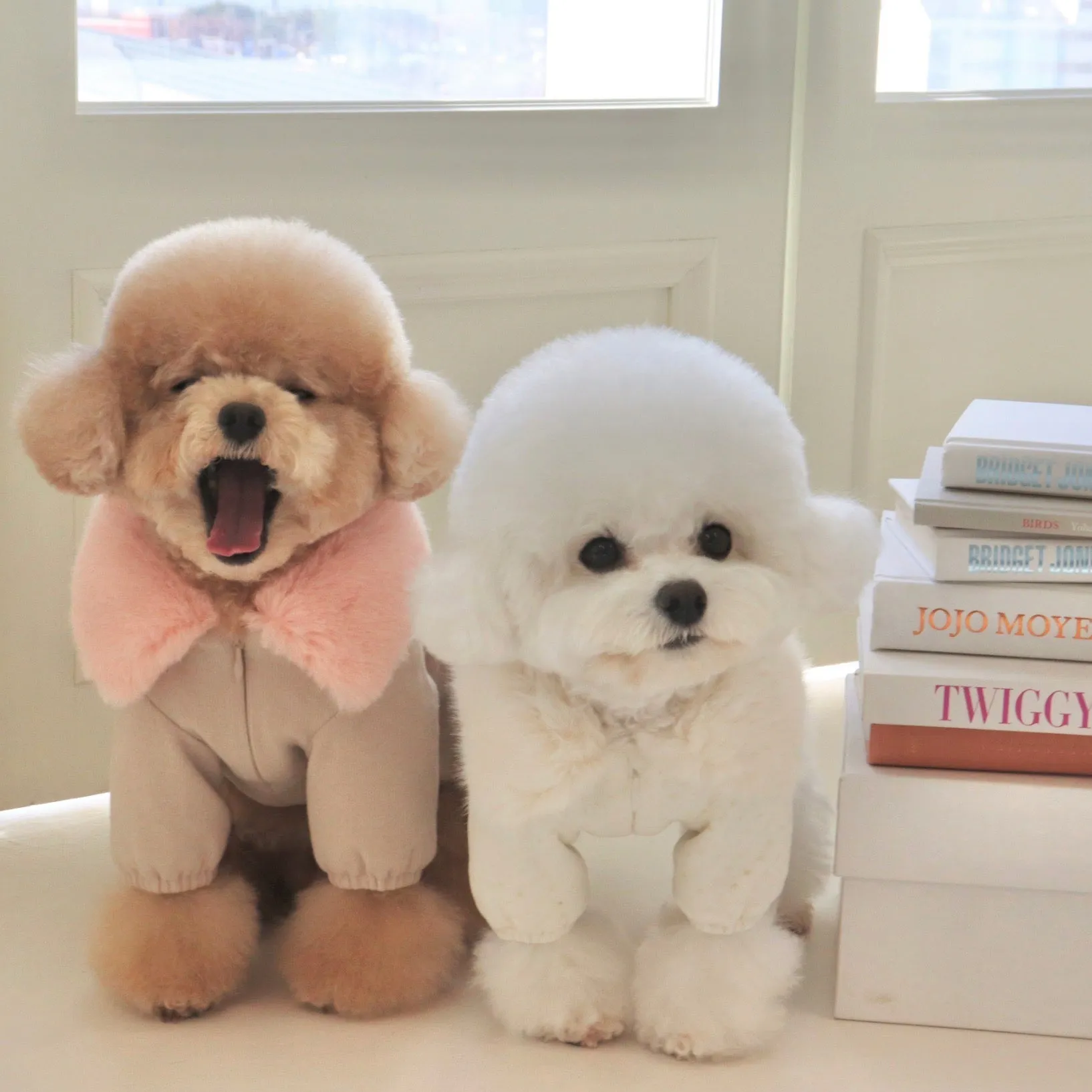 ※予約販売【Hi Yeboo】Eco Fur Padded Overcoat（アイボリー）
