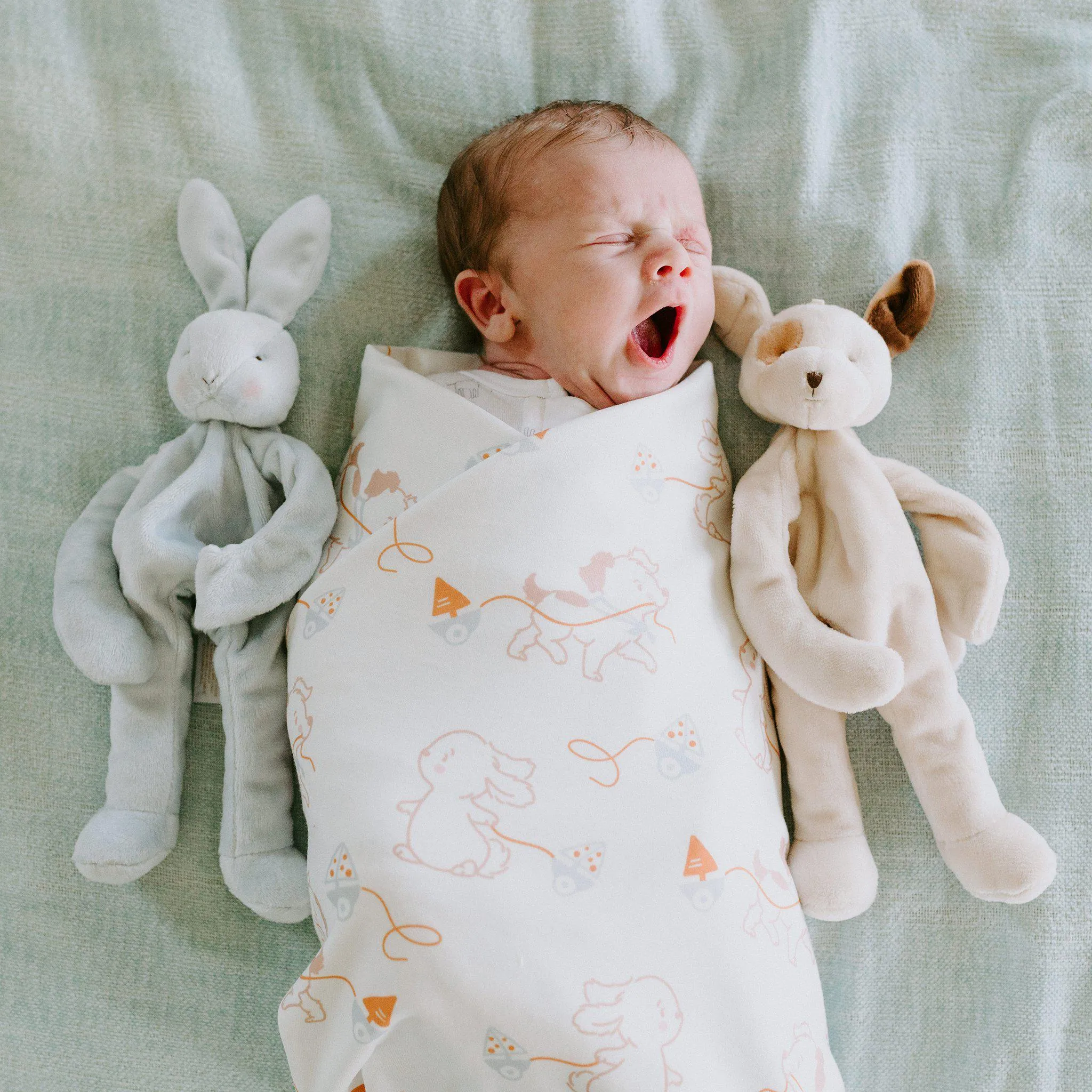 RETIRED - Newborn Baby Bud & Skipit Bundle Box
